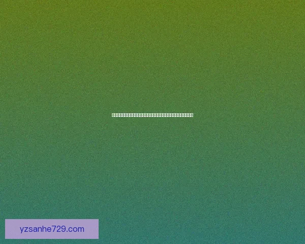 孙尚香最佳出装搭配指南如何根据对局灵活调整装备提升输出与生存能力